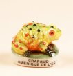 画像1: 【フェーブ】CRAPAUD AMERIQUE DE L'EST カエル (蛙) (1)